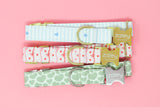 Light Blue Stripes & Hearts Dog Collar