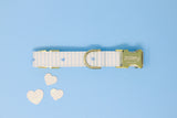 Light Blue Stripes & Hearts Dog Collar