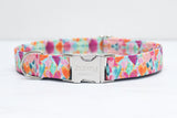 Rainbow Painted Hearts Dog Collar