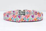 Rainbow Painted Hearts Dog Collar