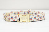 Flag Sweater Teddy Bears Dog Collar