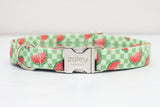 Checkered Watermelon Dog Collar