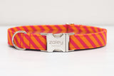 Hot Pink & Orange Diagonal Stripe Dog Collar