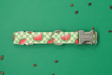 Checkered Watermelon Dog Collar