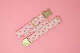 Hot Pink Stars Dog Collar