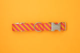 Hot Pink & Orange Diagonal Stripe Dog Collar