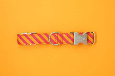 Hot Pink & Orange Diagonal Stripe Dog Collar