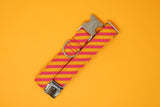 Hot Pink & Orange Diagonal Stripe Dog Collar