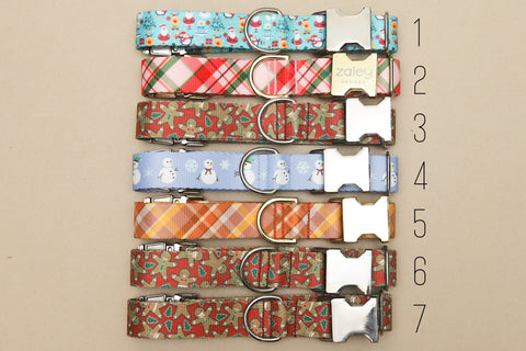 Sample Sale - 1" Wide, ANY SIZE - Endurance, Webbing