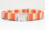 Pumpkin Stripe Dog Collar
