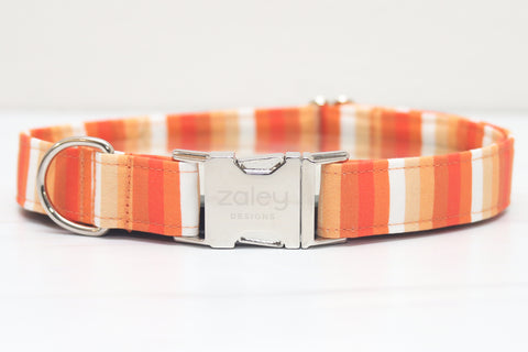 Pumpkin Stripe Dog Collar