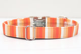 Pumpkin Stripe Dog Collar