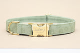 Sage Pumpkins Dog Collar
