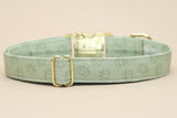 Sage Pumpkins Dog Collar