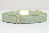 Sage Pumpkins Dog Collar