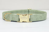 Sage Pumpkins Dog Collar