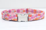 Purple/Pink/Orange Pumpkins Dog Collar