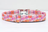 Purple/Pink/Orange Pumpkins Dog Collar