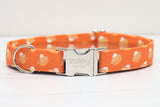 Pumpkin Pies Dog Collar