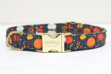 Ditzy Pumpkins Dog Collar