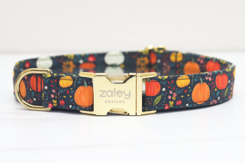 Ditzy Pumpkins Dog Collar