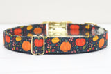 Ditzy Pumpkins Dog Collar