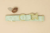 Sage Pumpkins Dog Collar
