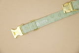 Sage Pumpkins Dog Collar