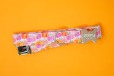 Purple/Pink/Orange Pumpkins Dog Collar