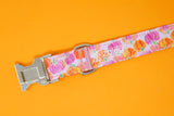 Purple/Pink/Orange Pumpkins Dog Collar