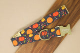 Ditzy Pumpkins Dog Collar