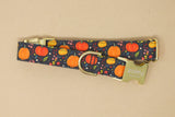 Ditzy Pumpkins Dog Collar