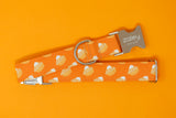 Pumpkin Pies Dog Collar