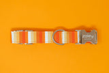 Pumpkin Stripe Dog Collar