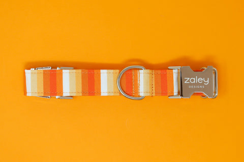 Pumpkin Stripe Dog Collar