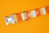 Pumpkin Stripe Dog Collar
