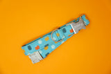 Teal Pumpkins Dog Collar