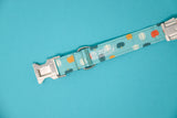 Teal Pumpkins Dog Collar