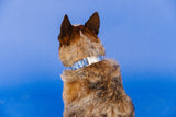 Blue Tie-Dye Dog Collar