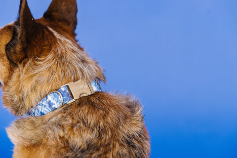 Blue Tie-Dye Dog Collar