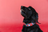 Red, White & Blue Floral Dog Collar