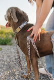 Poolside Stripe Endurance Collar