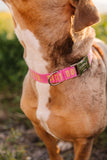 Pink Best Dog Ever Dog Collar