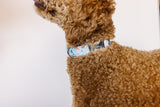Blue Terrazzo Dog Collar