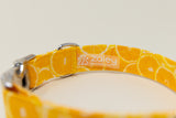 Oranges Dog Collar
