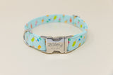 Popsicles on Mint Dog Collar