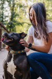 Olive Jack O Lantern Dog Collar