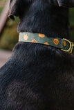 Olive Jack O Lantern Dog Collar