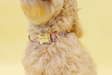 Gracie Floral Dog Collar