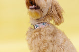 Pink Terrazzo Dog Collar